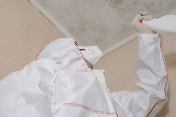 Best Mold Removal and Inspection  in Benbrook, TX