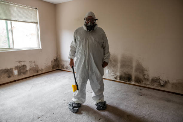 Mold Removal and Inspection in Benbrook, TX