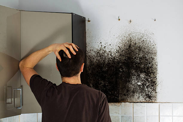 Water Damage Restoration in Benbrook, TX